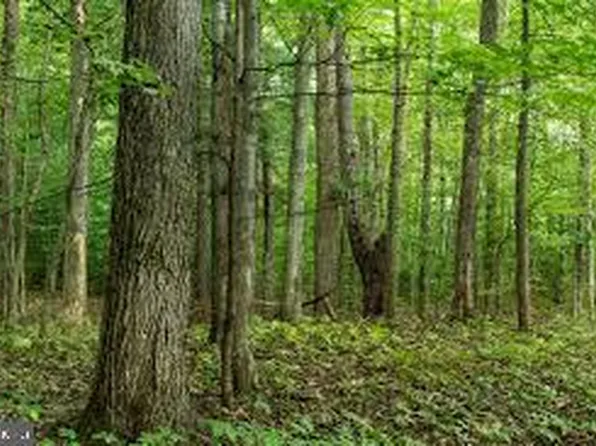 3964 Hidden Valley Ln, Marshall, VA 20115