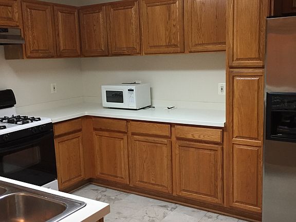 Kitchen cabinets & fridge
