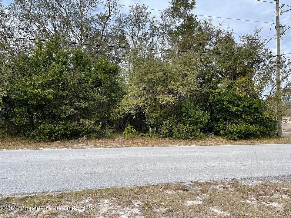 2nd image of LOT 7 Canterbury St Lot 7