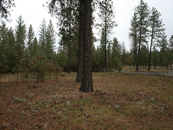 4th image of 6533 Lois Way