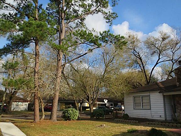 Mature Pine trees on the corner of your lot create help cool the house in the morning by providing s
