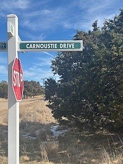 3rd image of Carnoustie Drive Carnoustie