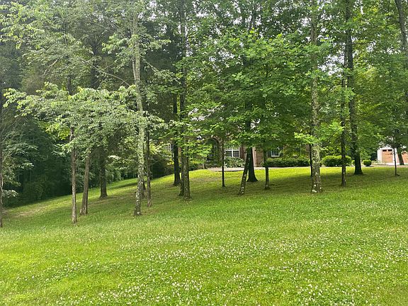 5th image of 1009 Driftwood Ln