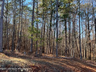 54 Doe Ln, Dadeville, AL, 36853