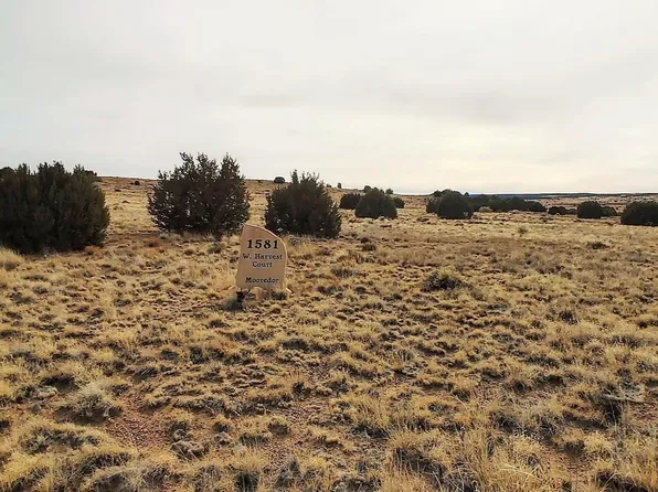 1581 W Harvest Ct, Taylor, AZ 85939