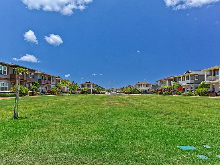 Park Across the House