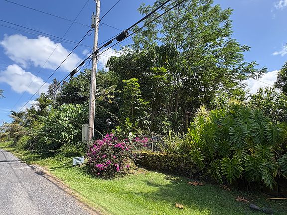 5th image of 6th Ave Lot 2247