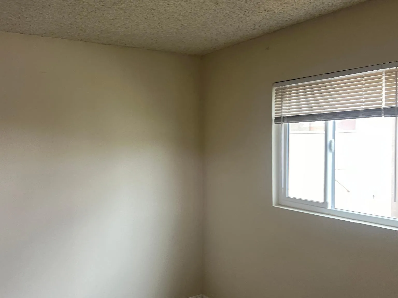 1 bed, 750 sqft, $1,250 — Photo 4