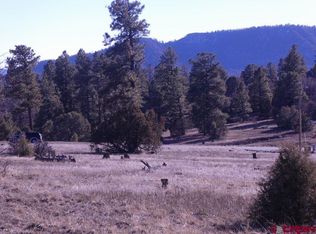 3120 Meadows Dr, Pagosa Springs, CO 81147