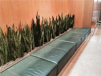 Rented by R New York