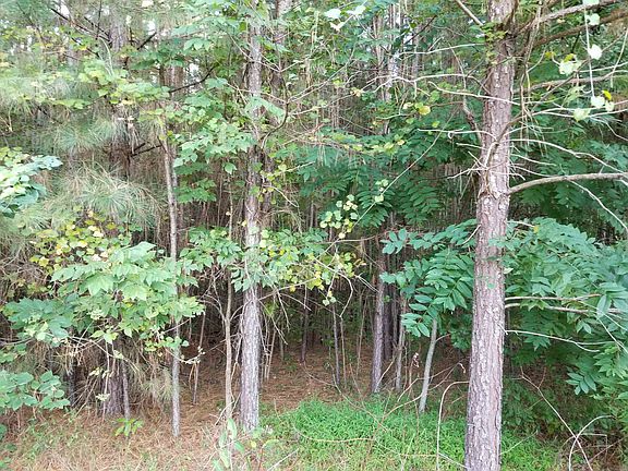 2nd image of 4 Brandon Pines Ct #236