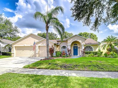 17112 Falconridge Rd, Lithia, FL, 33547
