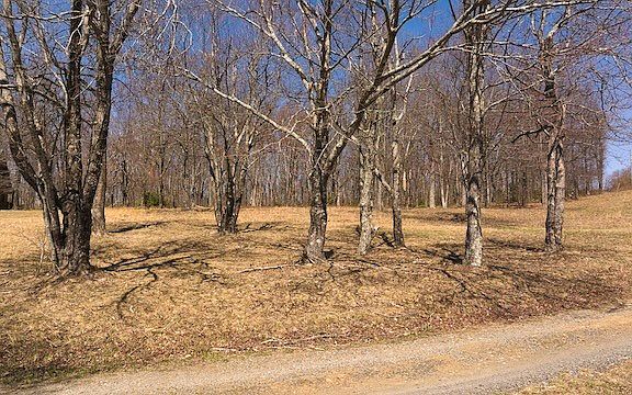 2nd image of Tbd Grandview Dr