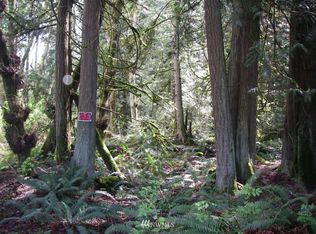 217 62nd Ave NW, Stanwood, WA 98292