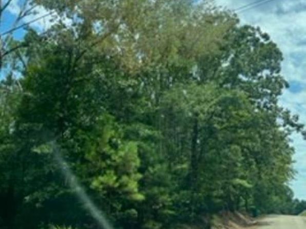 0 Pleasant Grove Rd #1, Vance, AL 35490