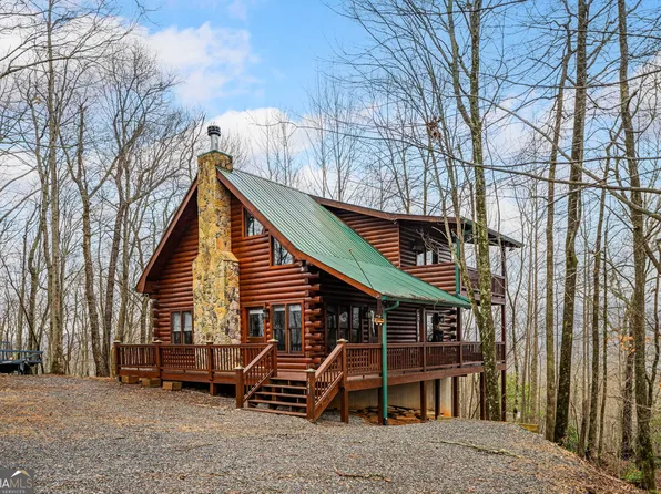 541 Little Bushy Head Rd #271, Blue Ridge, GA 30513