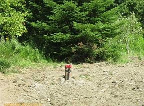 2nd image of 665 Lang Hill Rd
