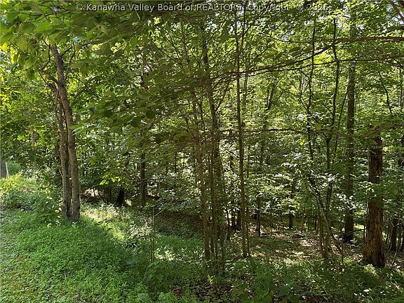 4th image of 0 Poplar Estates Dr