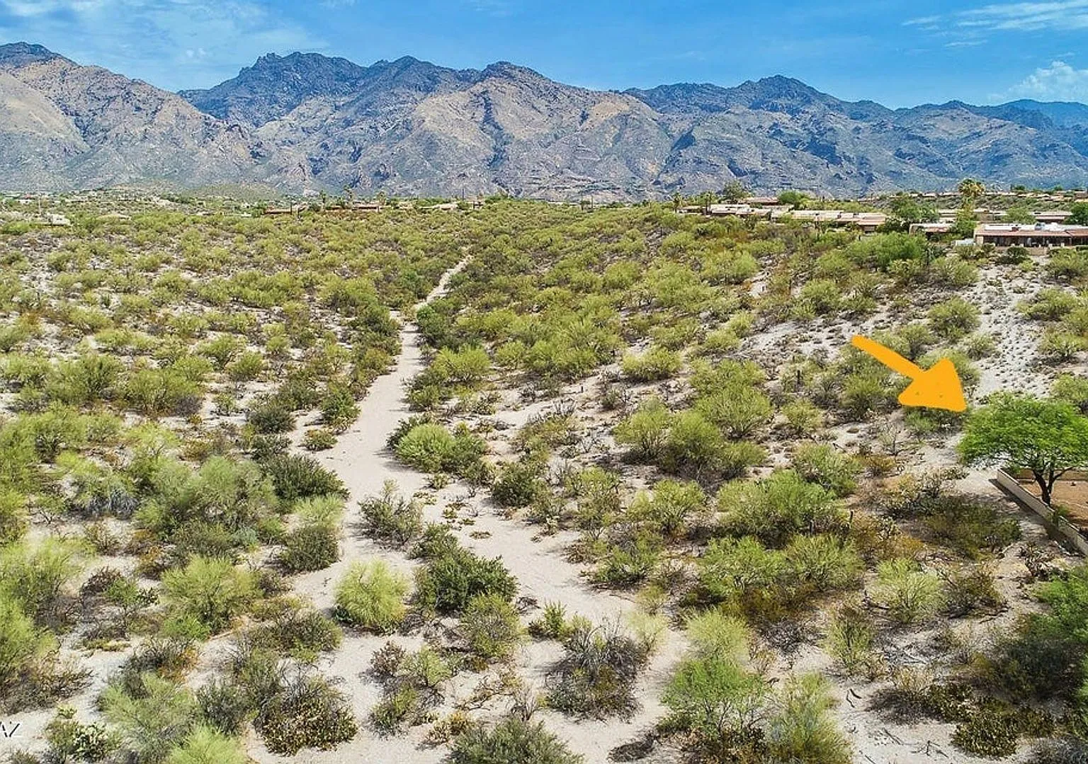 Foothills updated Home — Photo 2