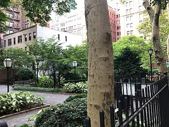 Rented by Bond New York