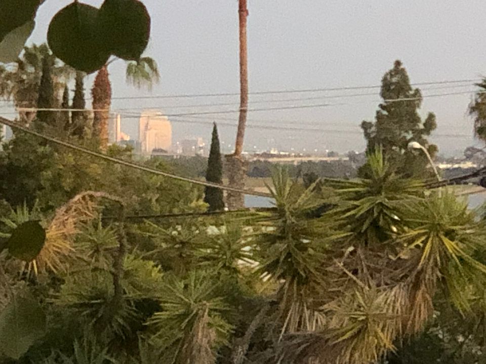 View of Mission Bay and Downtown SD.
