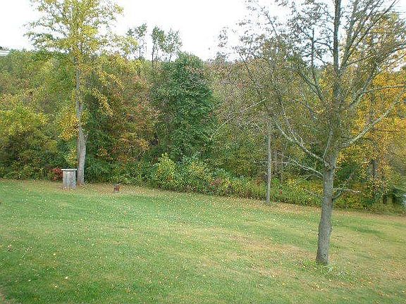 Porch View