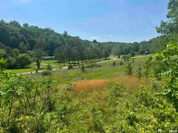 0 Pleasant Valley Ln, Tamms, IL 62988