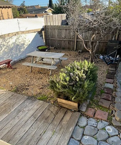 Back yard
