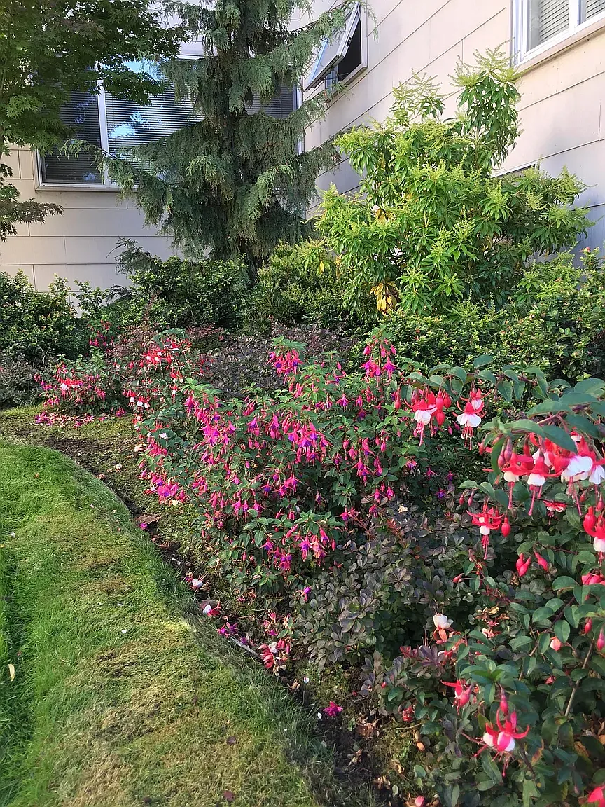 Greenlake South Shore — Photo 2