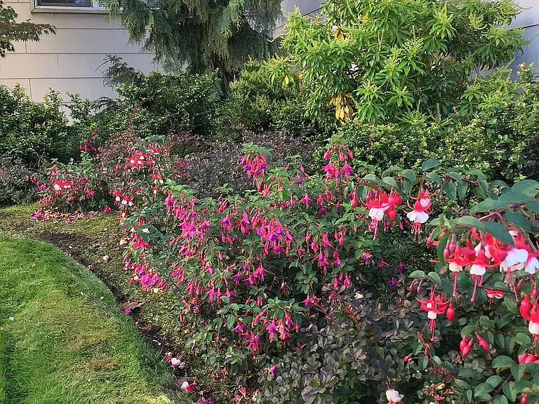 Greenlake South Shore — Photo 2