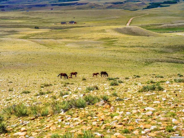 Wild Horse Ranch Rd, Laramie, WY 82070