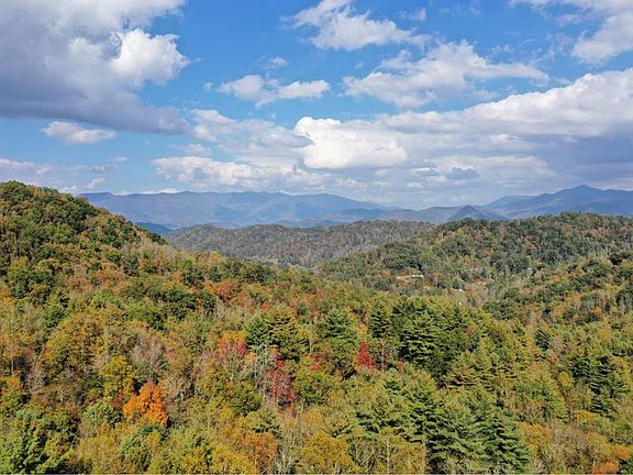 2nd image of Vl313 Mountain Forest Ests