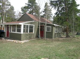 496 W Spring St, Nederland, CO 80466