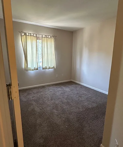 365 Pacific Dr — Photo 7