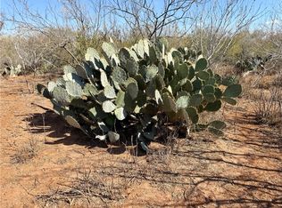 0 County Road 101, San Diego, TX 78384