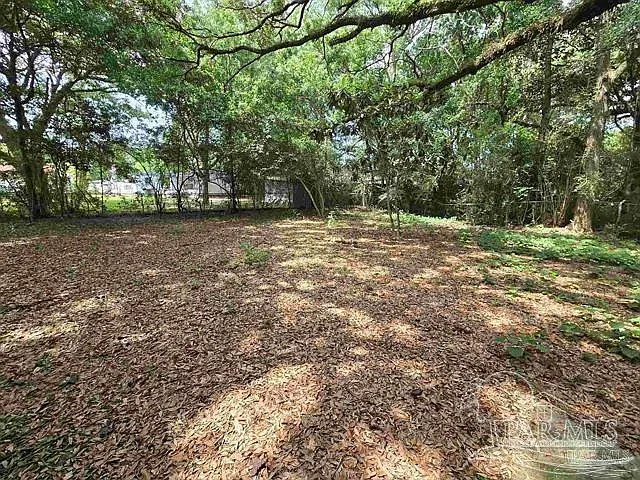 3 bed, 1500 sqft, $1,750 — Photo 4
