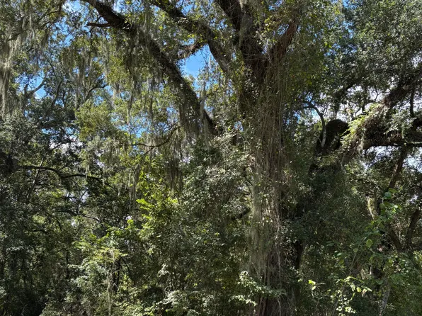 Plantation Pl, Abbeville, LA 70510