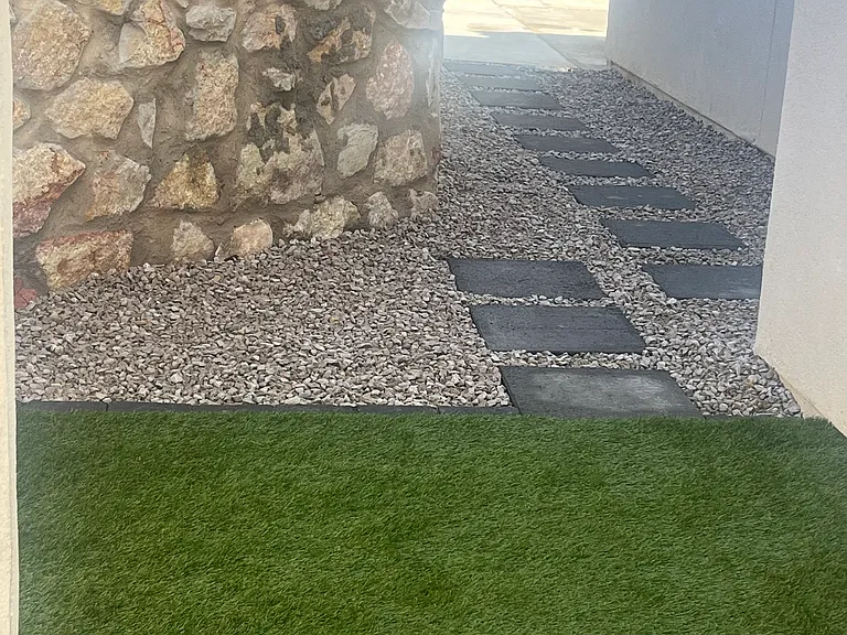 Landscape backyard