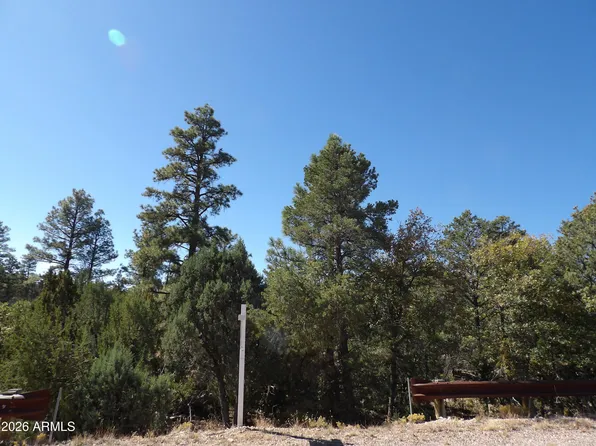 3642 PINEHURST Drive #169, Happy Jack, AZ 86024