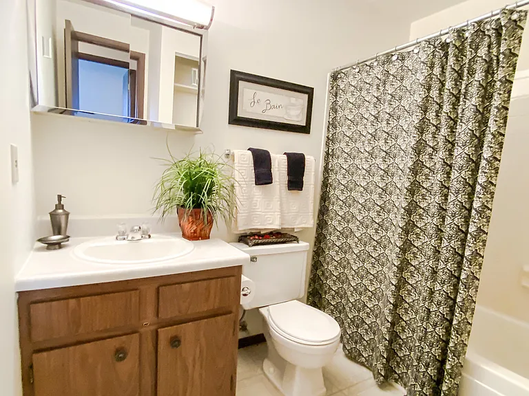 Model Bathroom