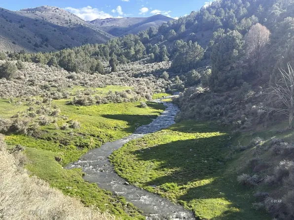 Mill Creek Rd, Battle Mountain, NV 89820