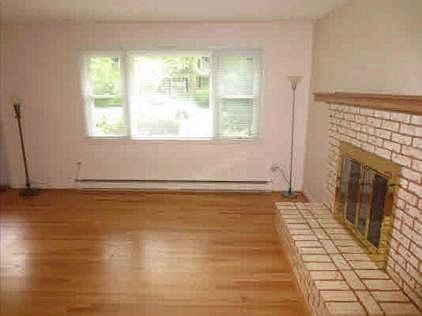 Living Room and Fireplace : Living Room and Fireplace