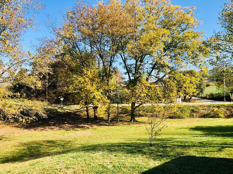 Indian Creek Rd — Photo 9