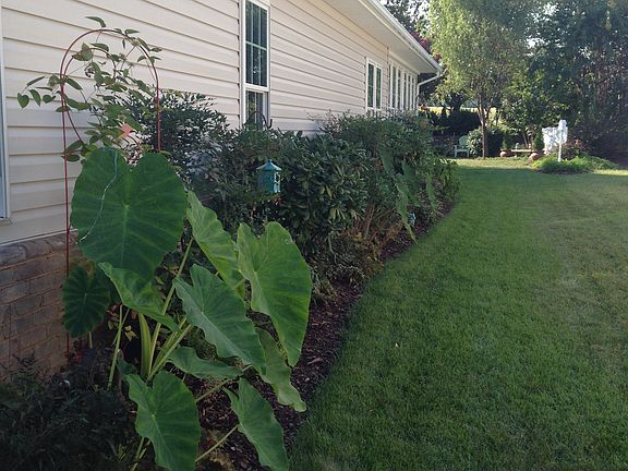 3rd image of 2260 Mattaponi Dr NW