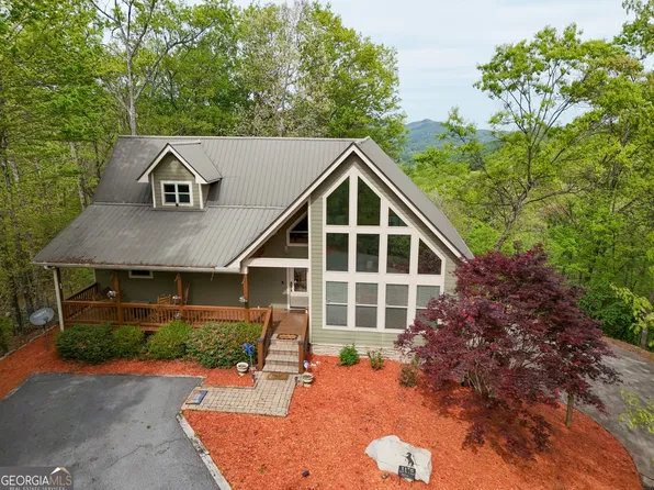 1176 Tiger Pass Dr, Tiger, GA 30576