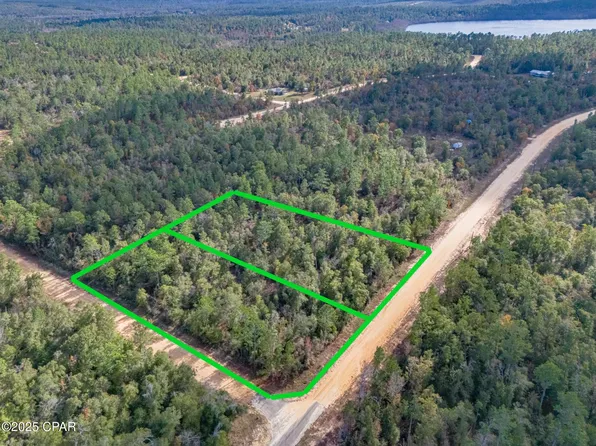 1166 Alene Dr, Alford, FL 32420
