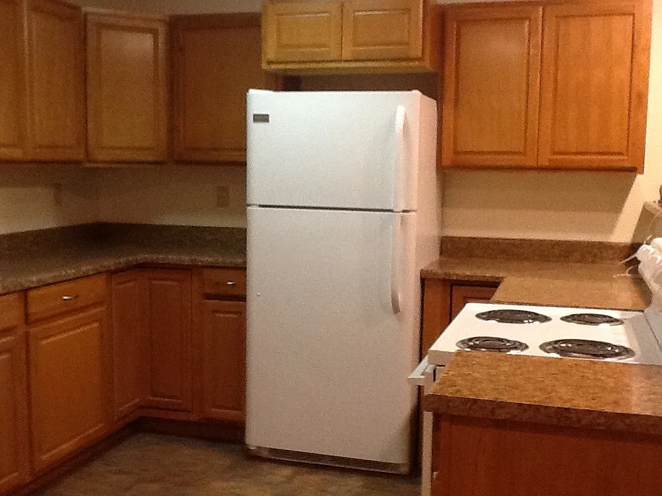 1 bed, 800 sqft, $1,800 — Photo 2