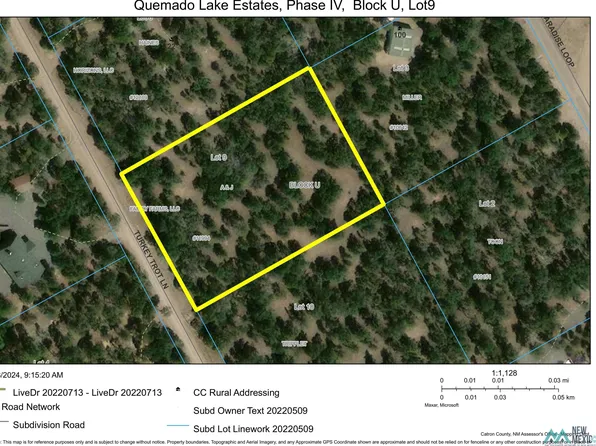 BLOCK U LOT 9 Turkey Trot Ln, Quemado, NM 87829