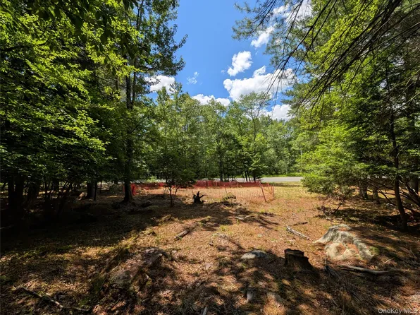 Ballard Road, Bethel, NY 12720