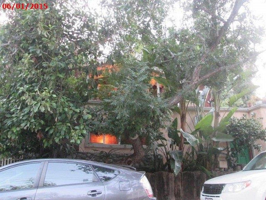 1st image of 449 Museum Dr
